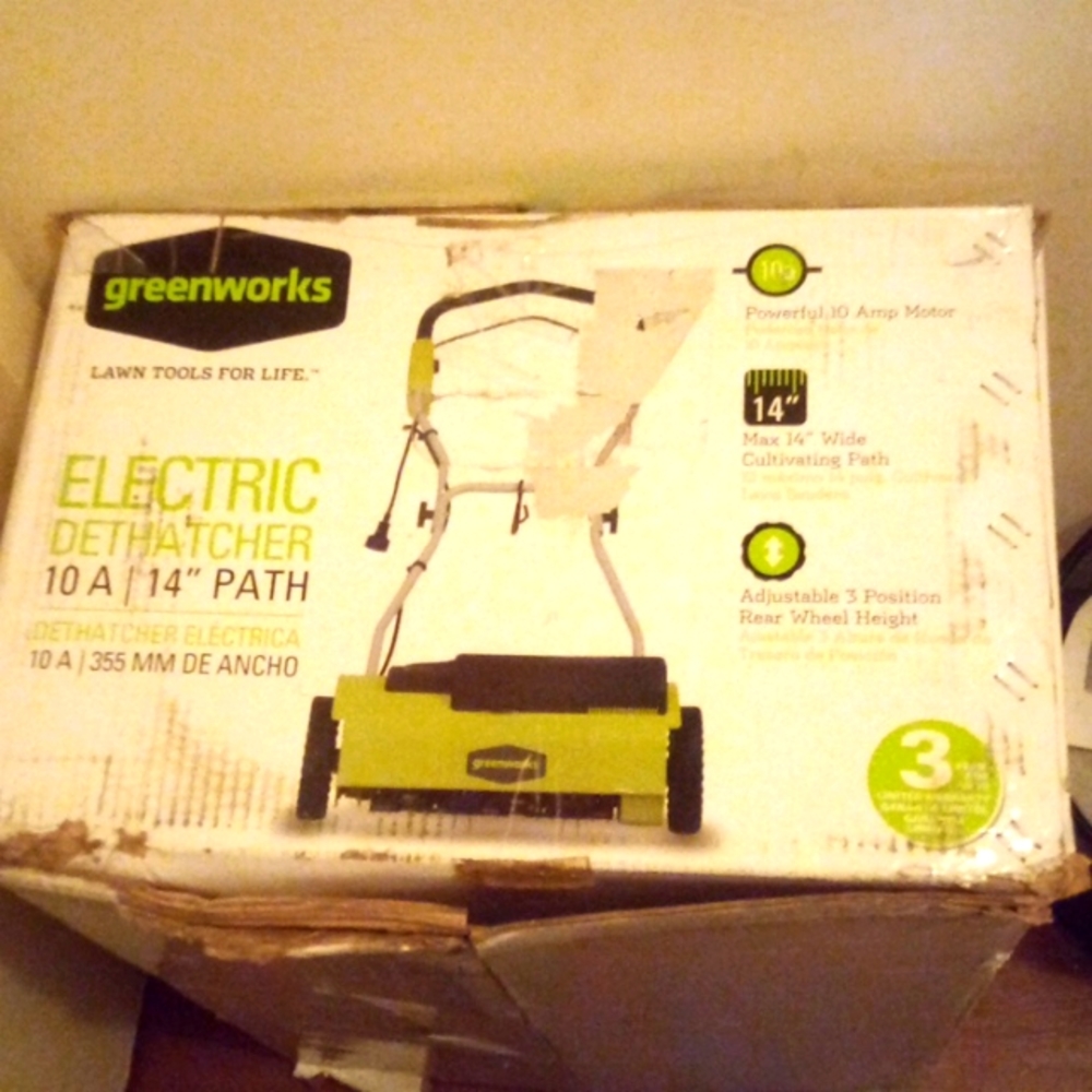 Electric dethatcher